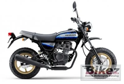 Honda Ape 100 Type D 2013