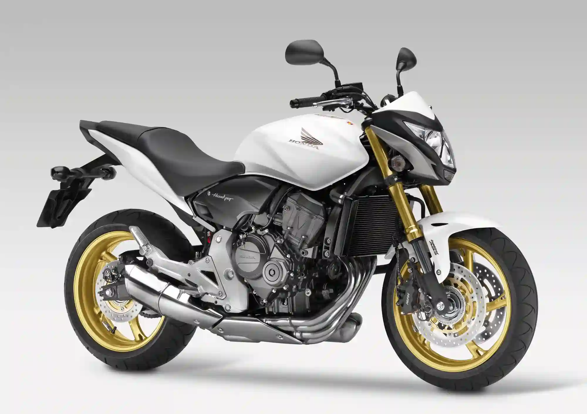 Honda CB600F Hornet 2009 1
