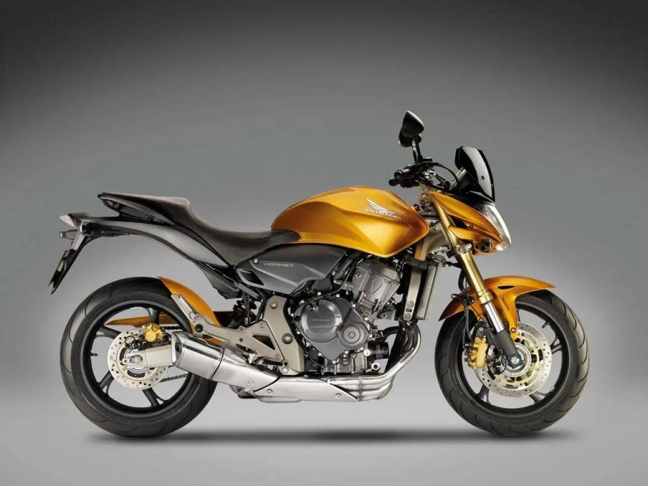 Honda CB600F Hornet 2009