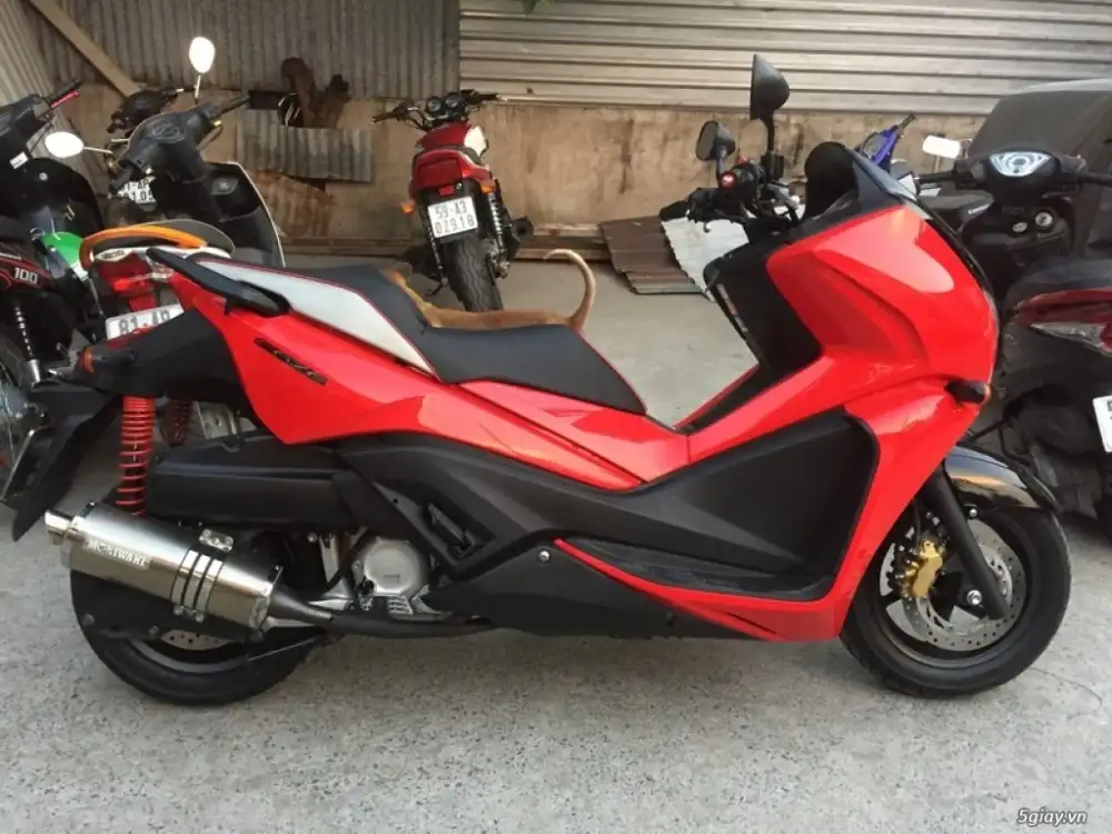 Honda Faze 2017