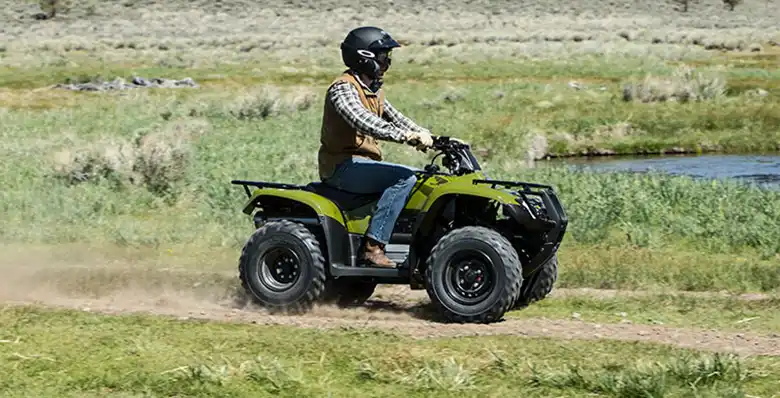 Honda Fourtrax Recon 2017