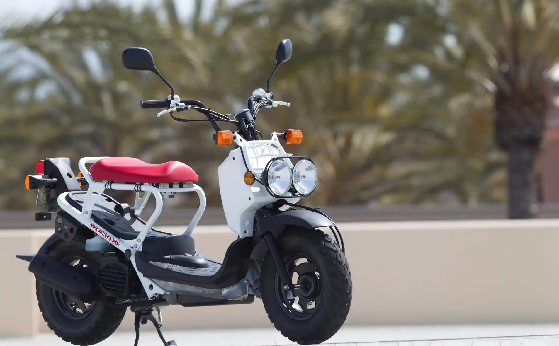 Honda Ruckus 2012