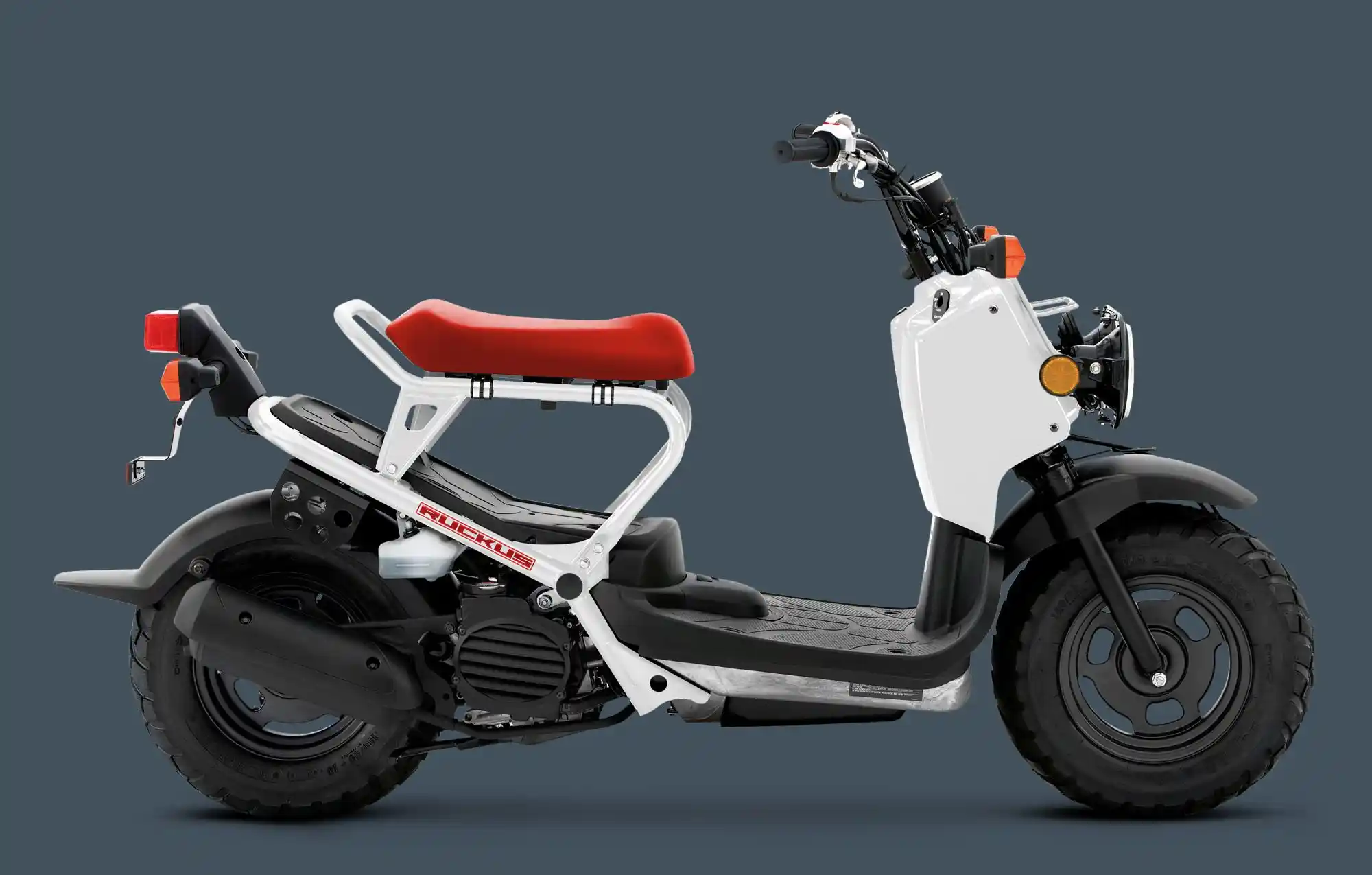 Honda Ruckus 2014