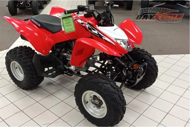 Honda TRX250X 2020