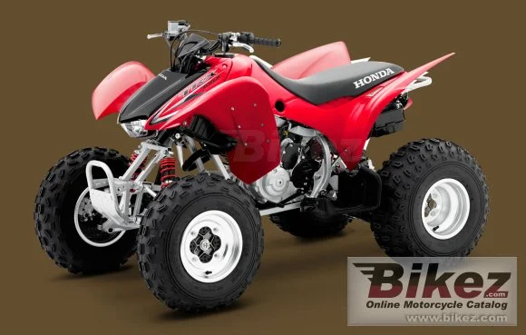 Honda TRX300X 2010