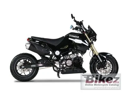 Ice Bear Fuerza 2023