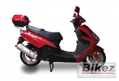 Ice Bear Hawkeye 2022