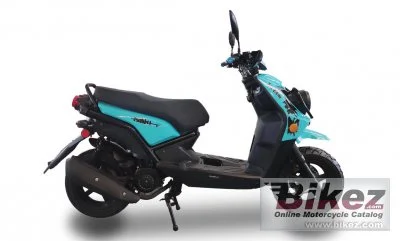 Ice Bear Malibu 2022