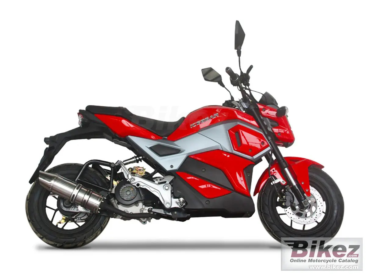 Ice Bear Mini Max 50 2023