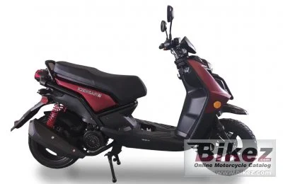 Ice Bear Vision 2022