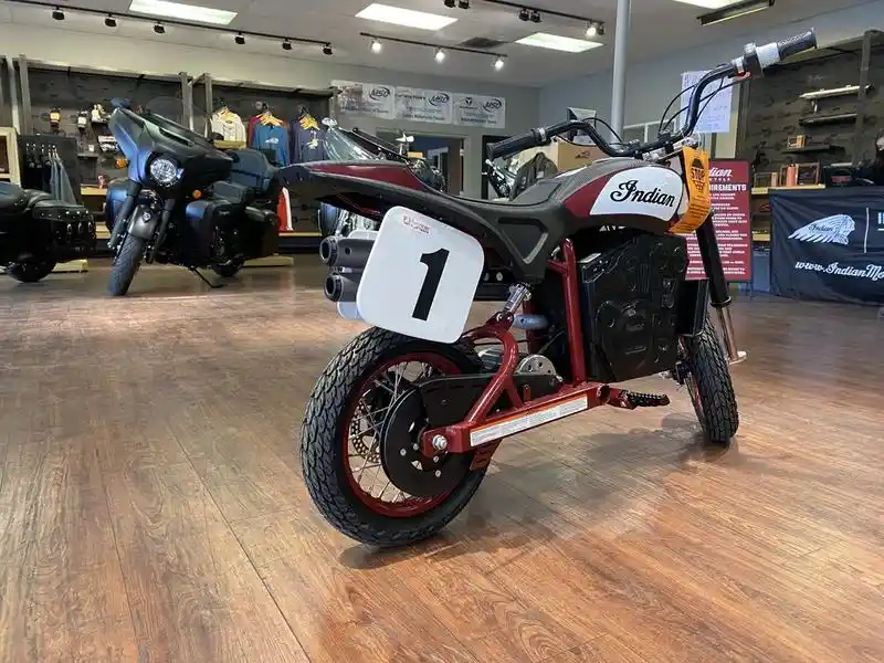 Indian Eftr Jr 2021