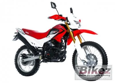 Irbis TTR 223R 2020