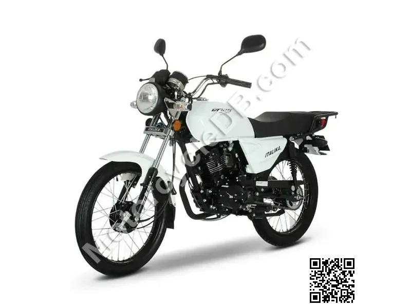 Italika DT125 Delivery 2020
