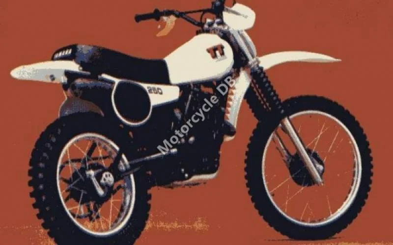 Izuka Reizei 70 2010