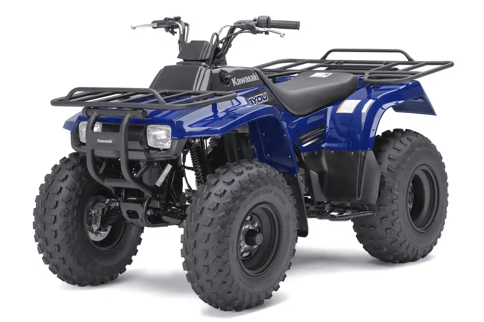 Kawasaki Bayou 250 2010