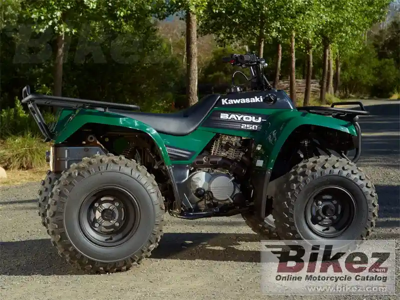 Kawasaki Bayou 250 2012