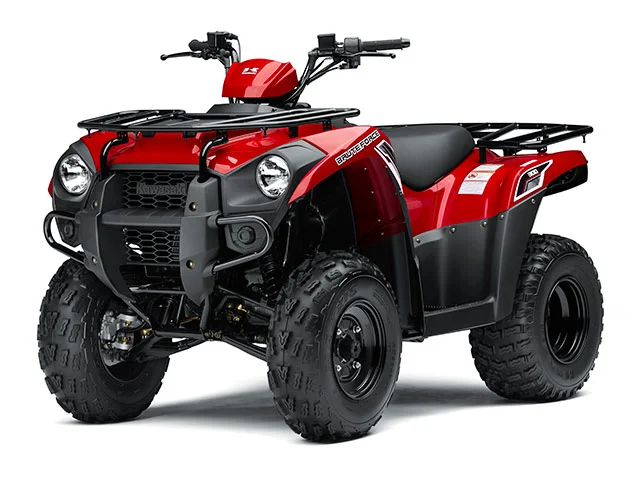 Kawasaki Brute Force 300 2014