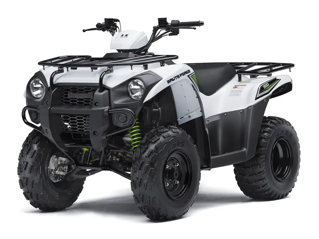 Kawasaki Brute Force 300 2017