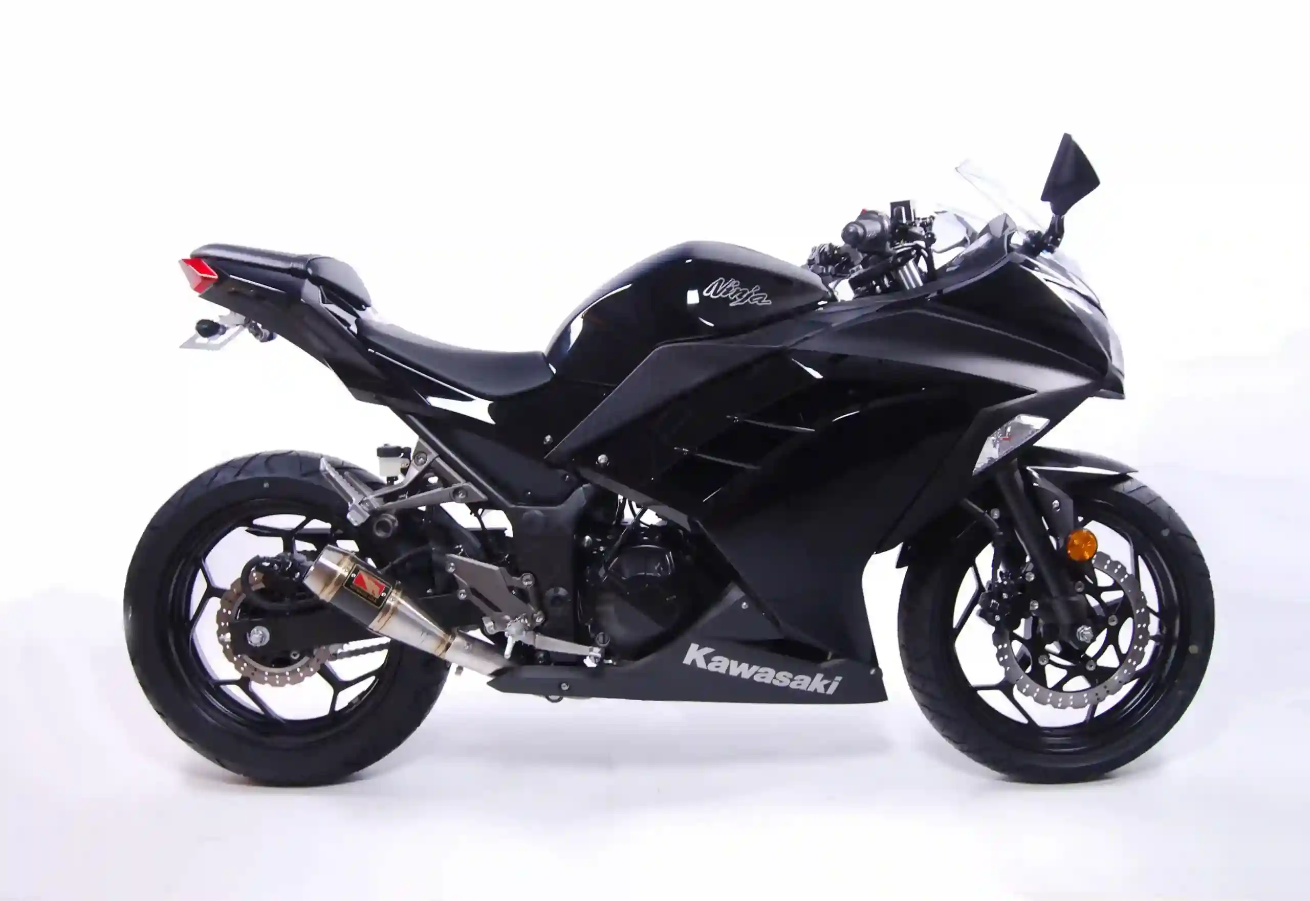 Kawasaki Ninja 300 Performance 2017