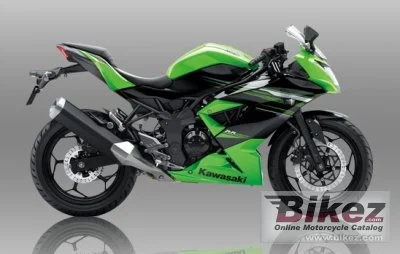 Kawasaki Ninja RR Mono 2015