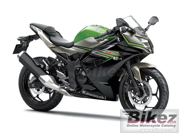 Kawasaki Ninja RR Mono 2016