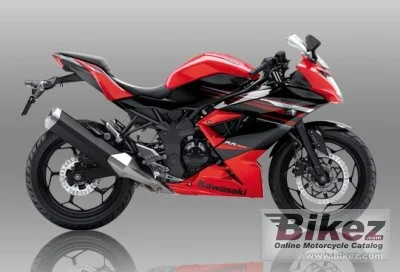 Kawasaki Ninja RR Mono ABS 2015