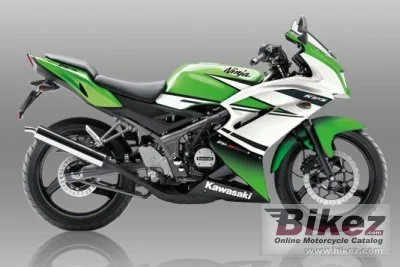Kawasaki Ninja RR Special Edition 2015