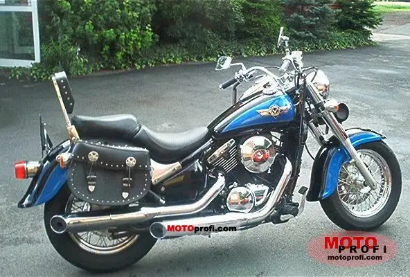 Kawasaki VN 800 Classic 2001