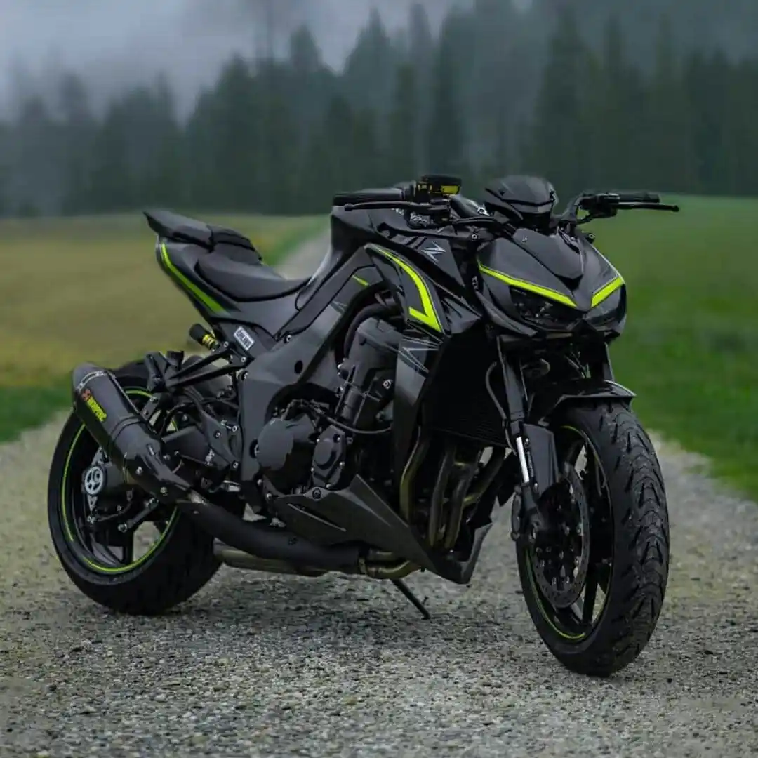 Home 3 Kawasaki Z1000 2018
