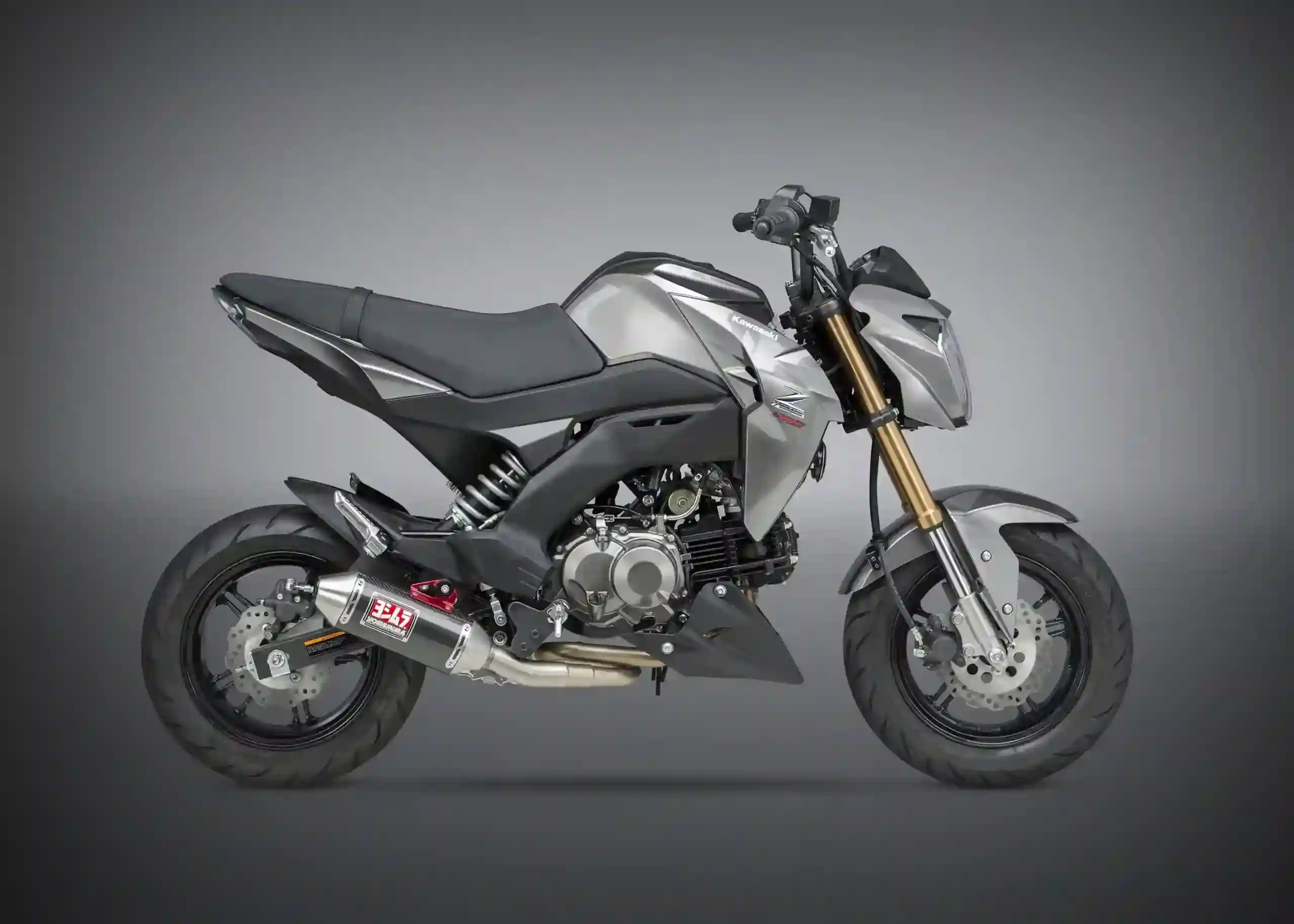 Kawasaki Z125 Pro 2017