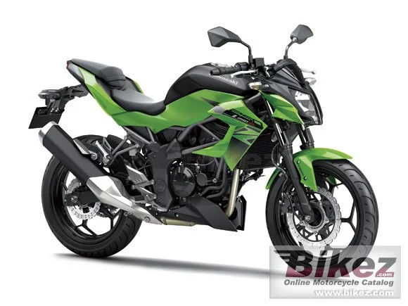 Kawasaki Z250SL 2016