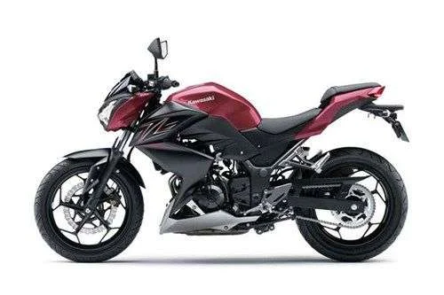 Kawasaki Z300 Special Edition 2016