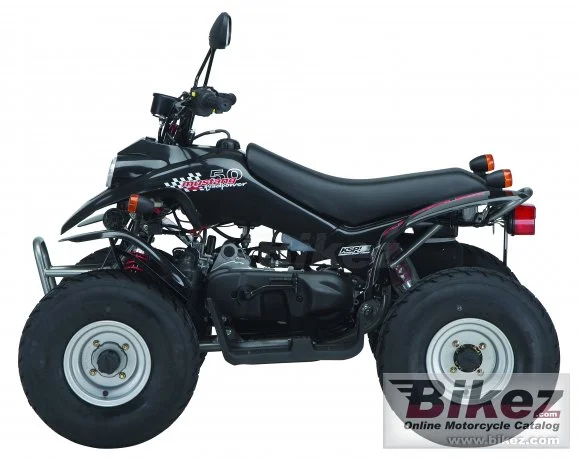 Kreidler Mustang 50 2010