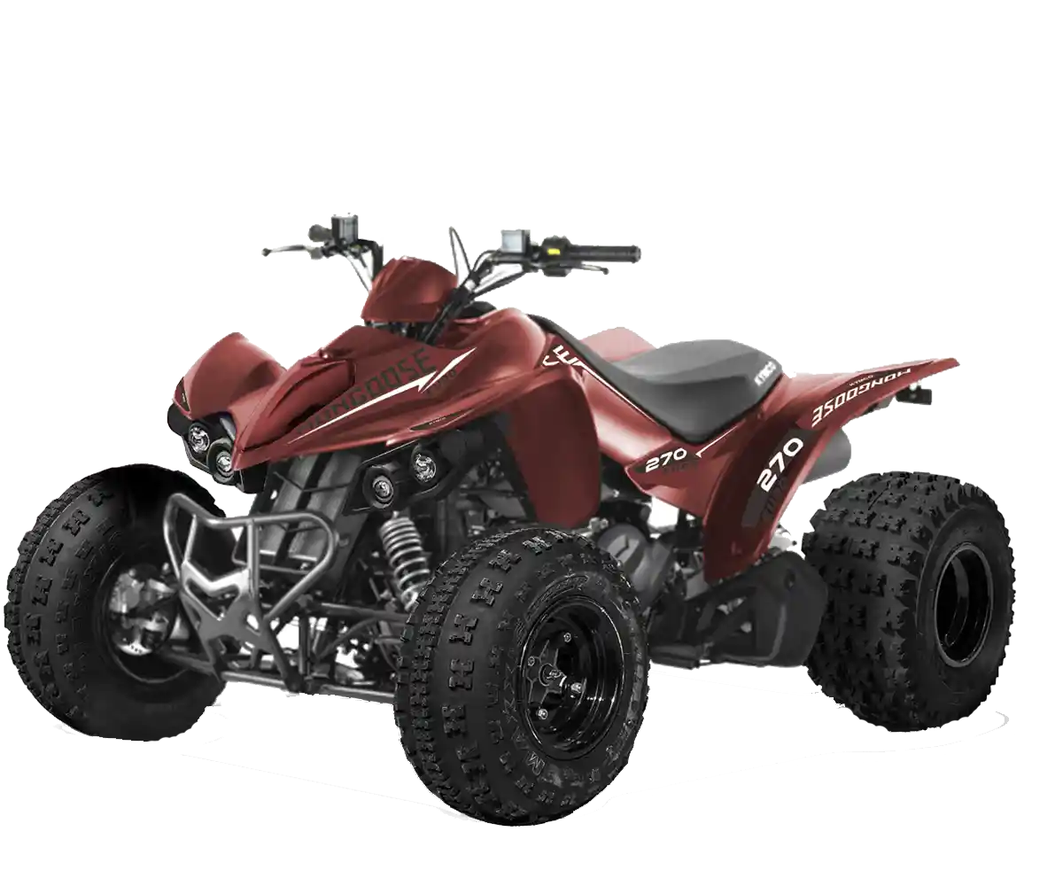 Kymco Mongoose 270 Euro 2021