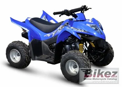 Kymco Mongoose 90S 2017