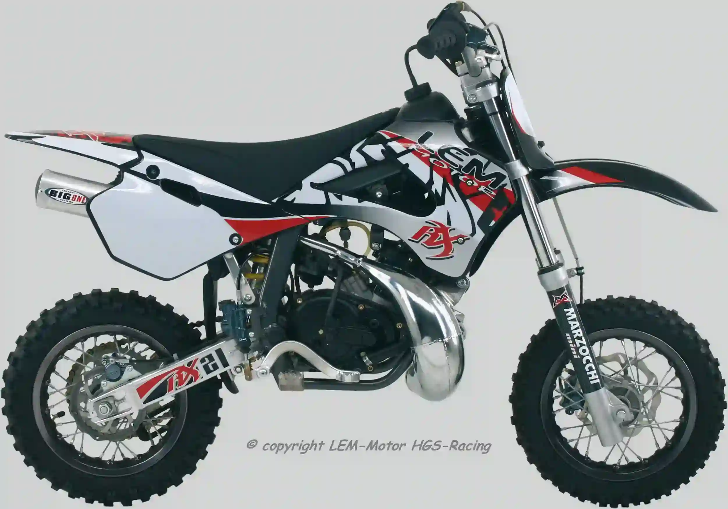 Lem RX 65 Racing 2011