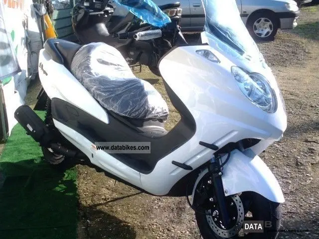 Linhai Mainstreet 300 2009