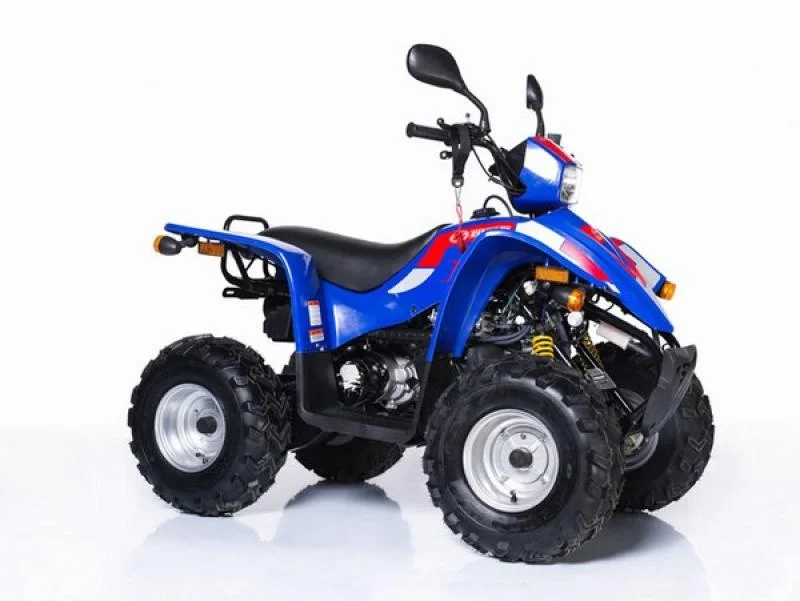 Linhai Monkey Bike 50 GY 2005