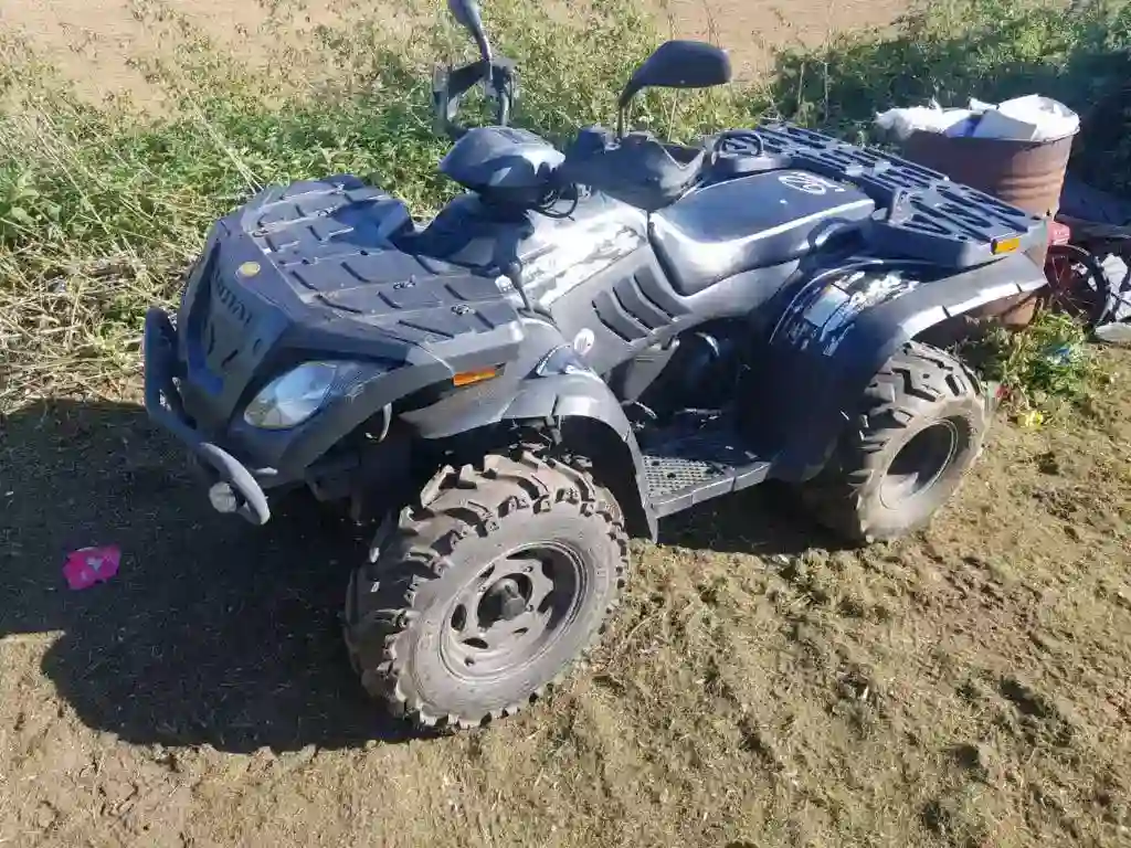 Linhai Muddy 300 2009