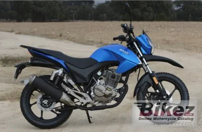 MH Wyn 125 2021