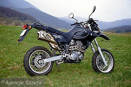 MZ Baghira Forest 2001