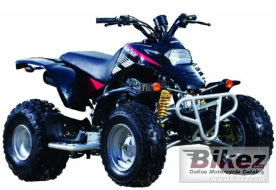Macbor ATV CX 250R 2009