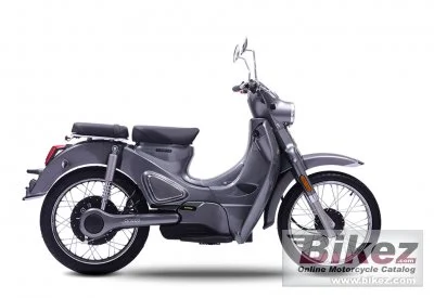 Motron Cubertino 2023