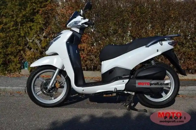 Nipponia Ezio 50 2010