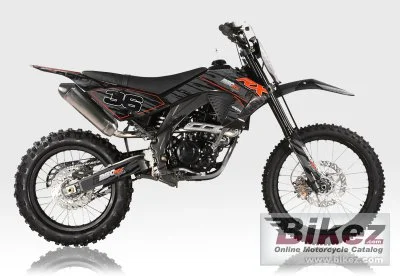 Orion RX 250 2021
