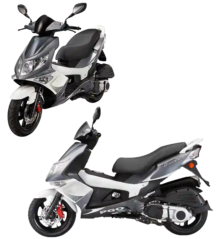 PGO G Max 220 EFI 2011
