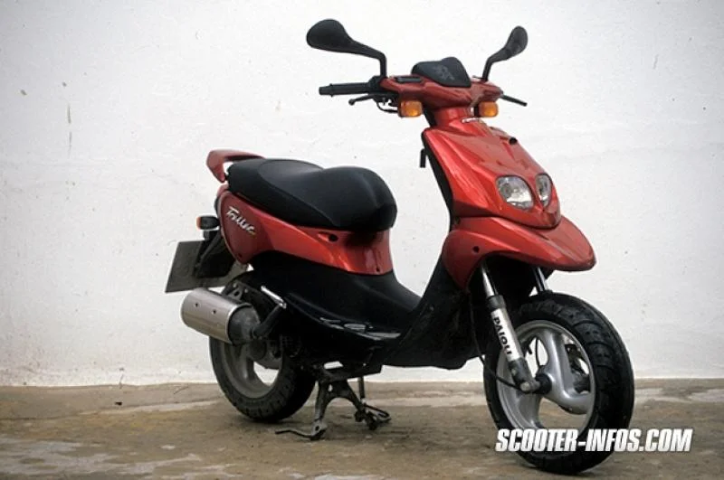 Peugeot Rally Victories 100P 2007