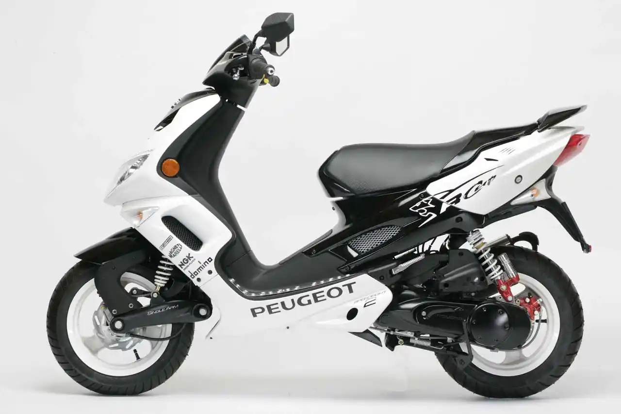 Peugeot Speedfight Rcup 50 2007