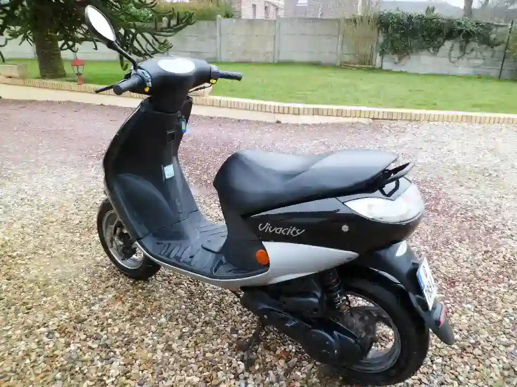 Peugeot Vivacy 50 2006
