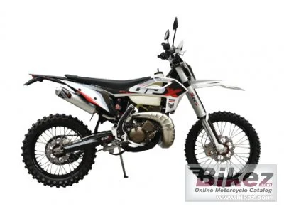 Pitster Pro TSE 250R 2021